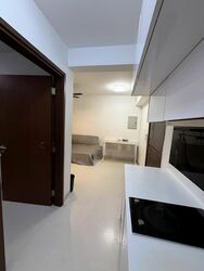 Alexis (D3), Apartment #557054391